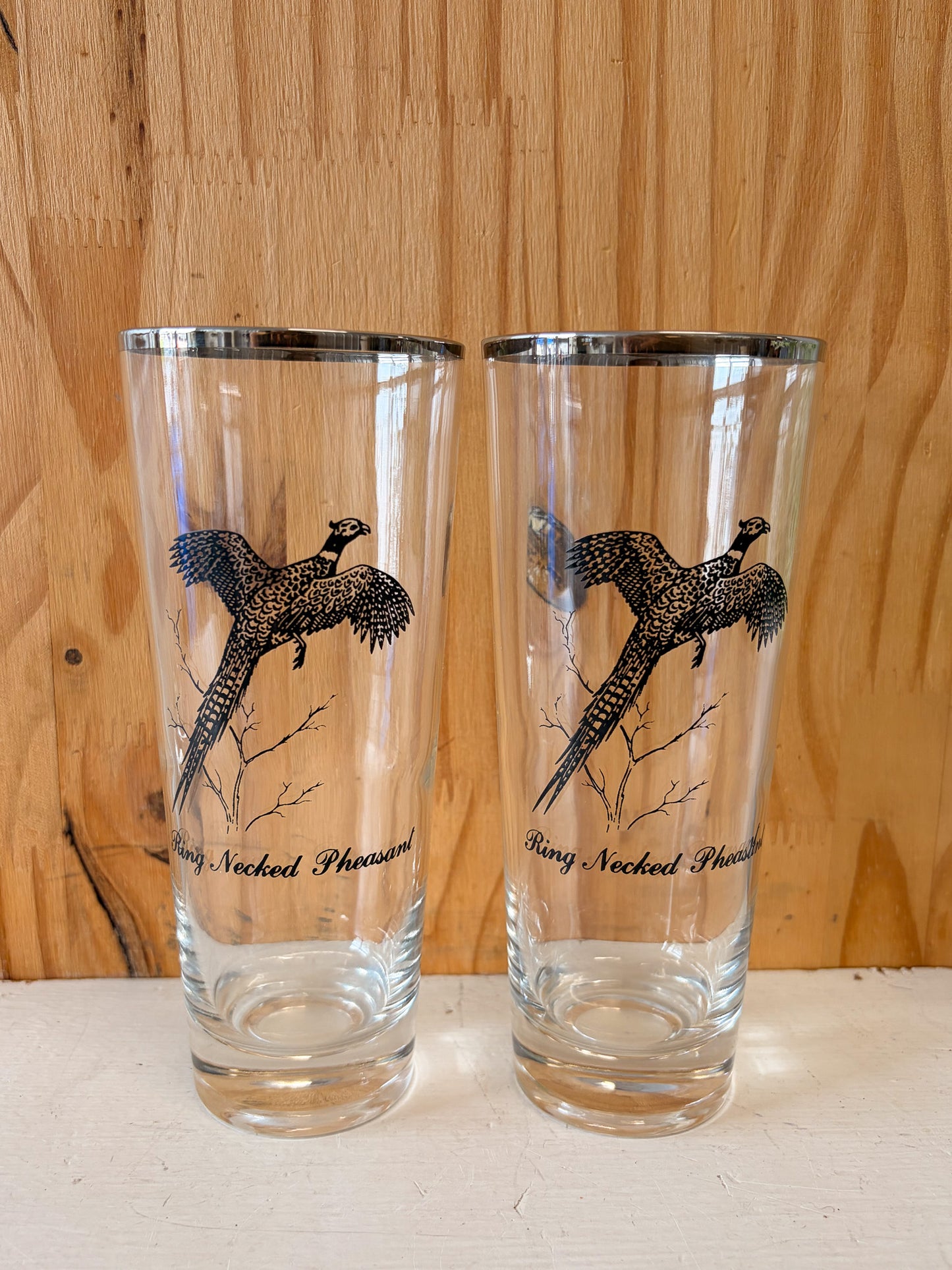 Vtg Set of 8 Wild Bird Highball Glasses (Local Pick Up Only)