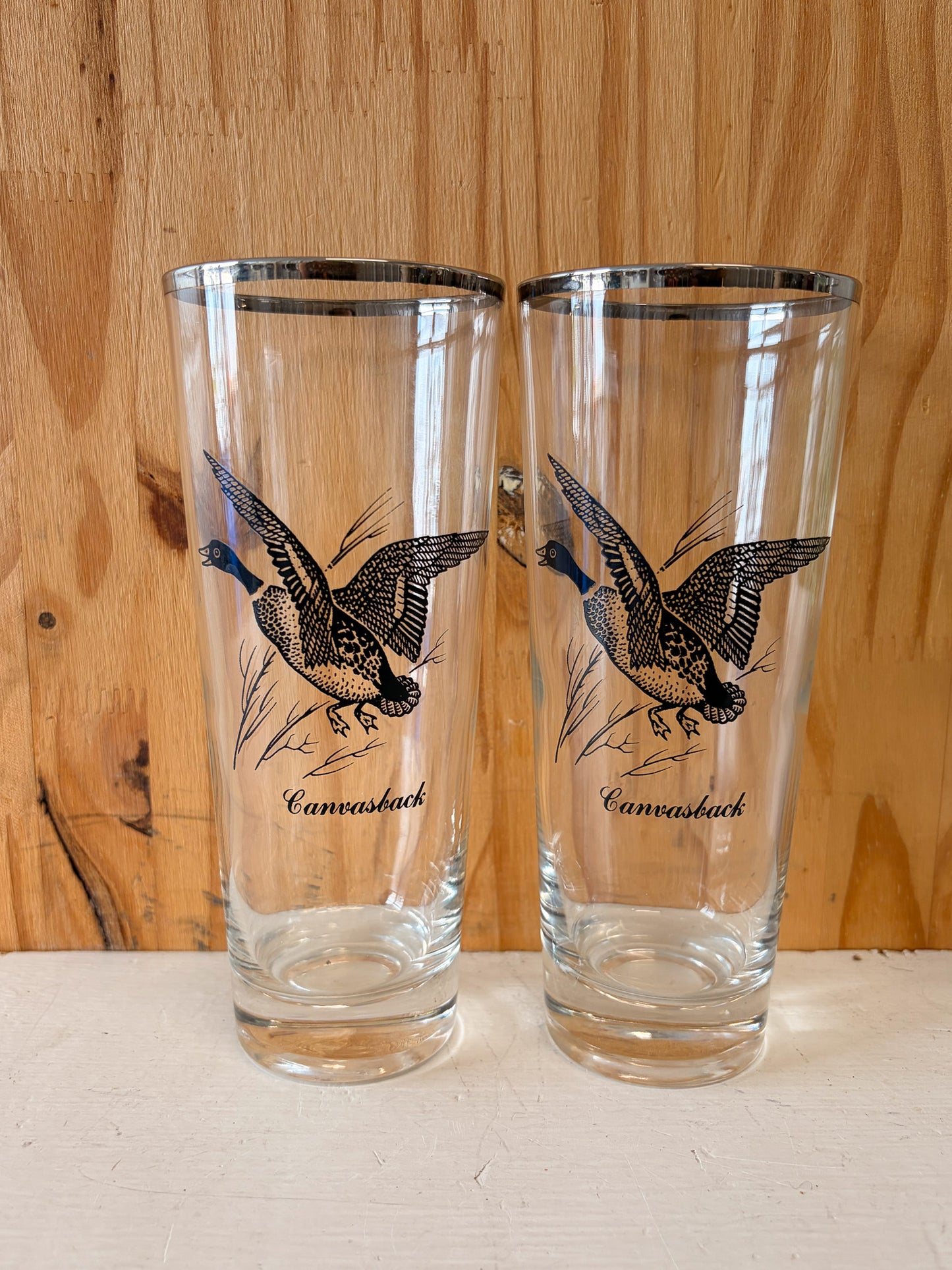 Vtg Set of 8 Wild Bird Highball Glasses (Local Pick Up Only)