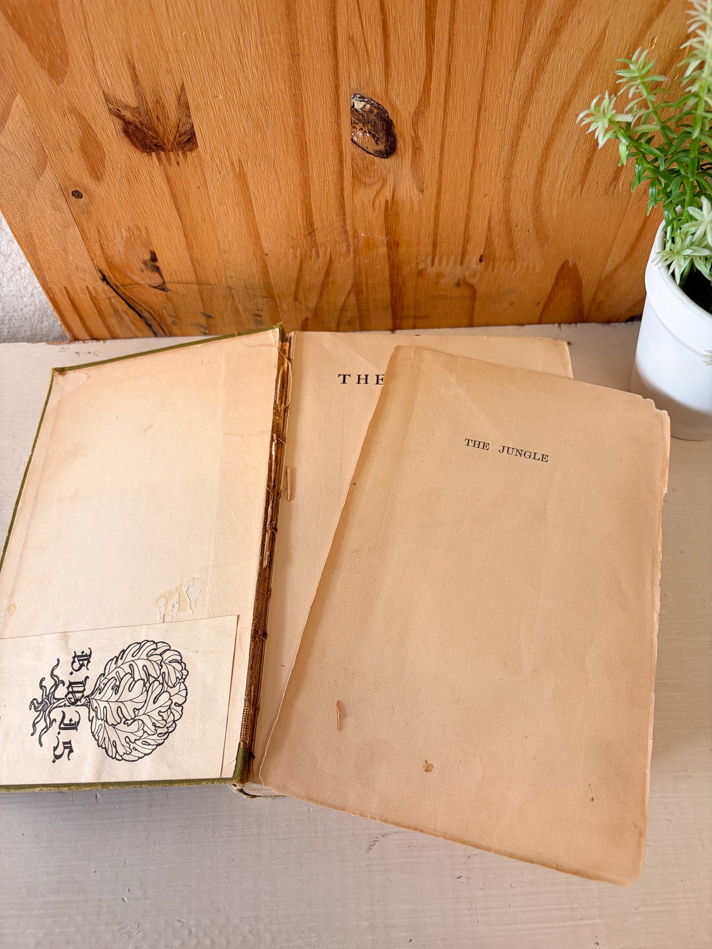 1906 The Jungle by Upton Sinclair