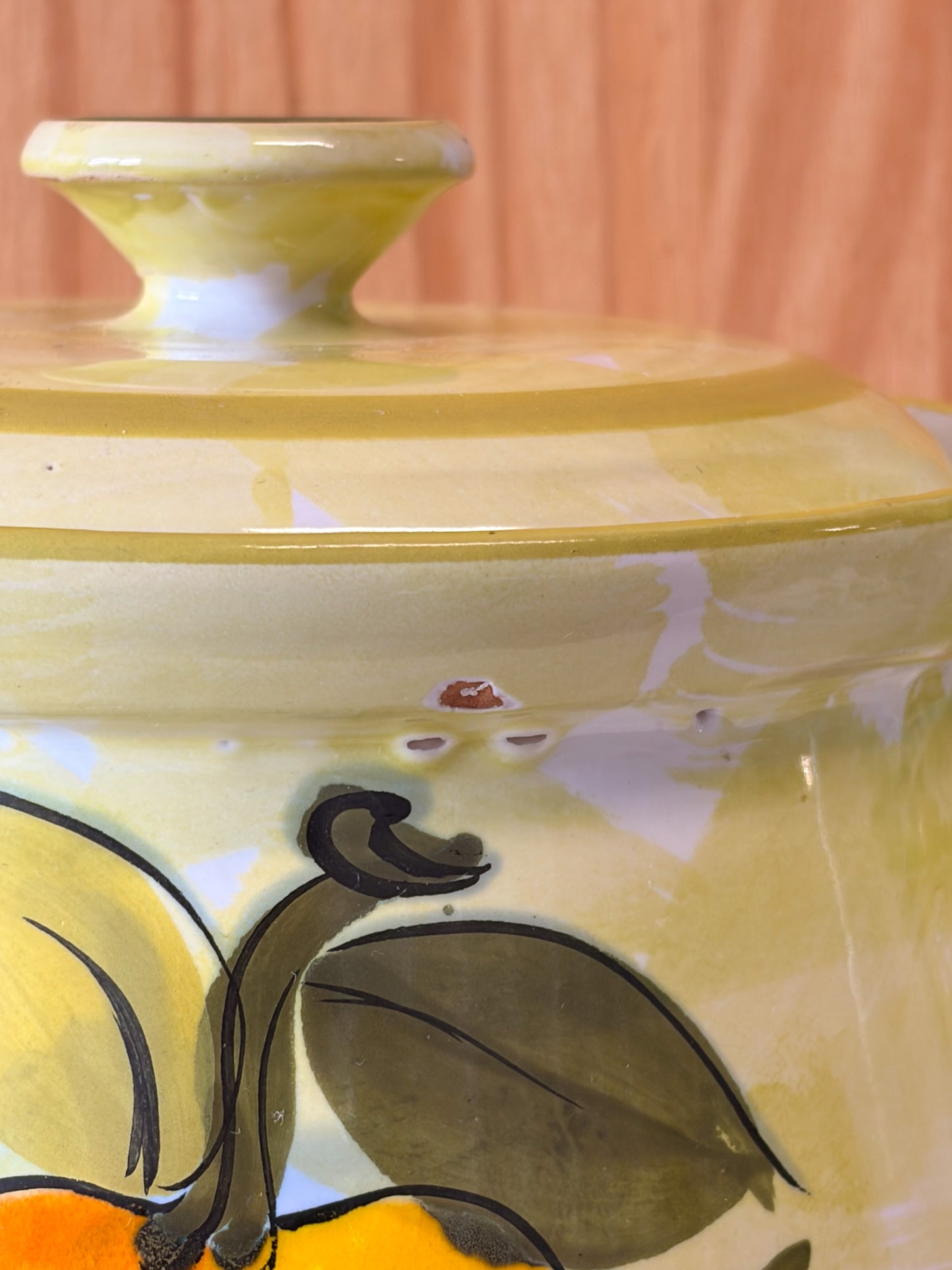 Vtg Fruit Painted Canister (Local Pick Up Only)