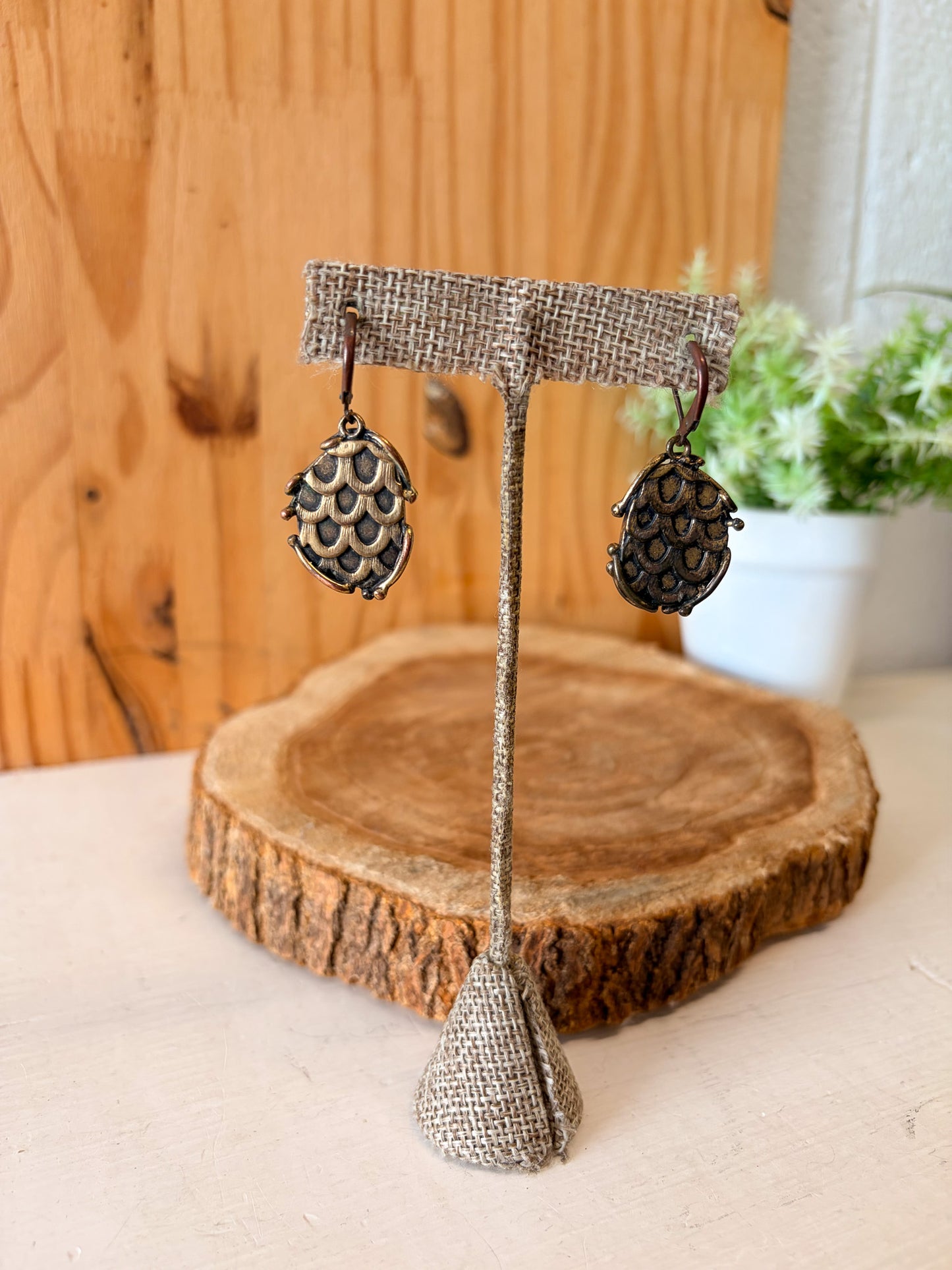 Red Circle Earrings