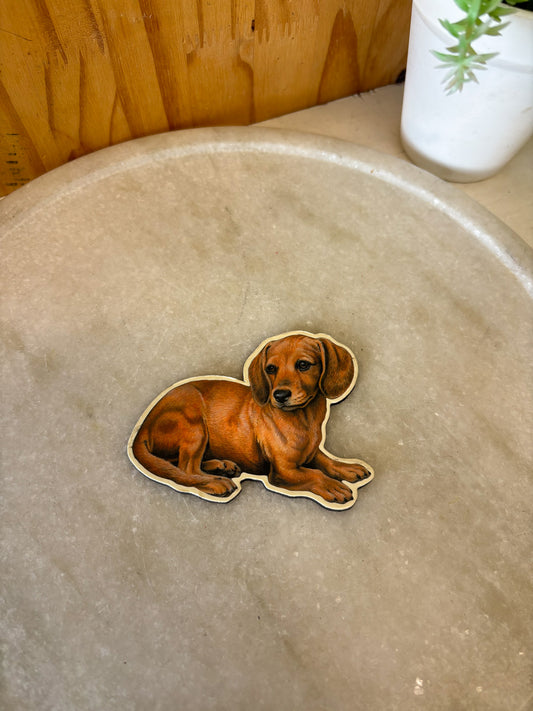 Dachshund Magnet