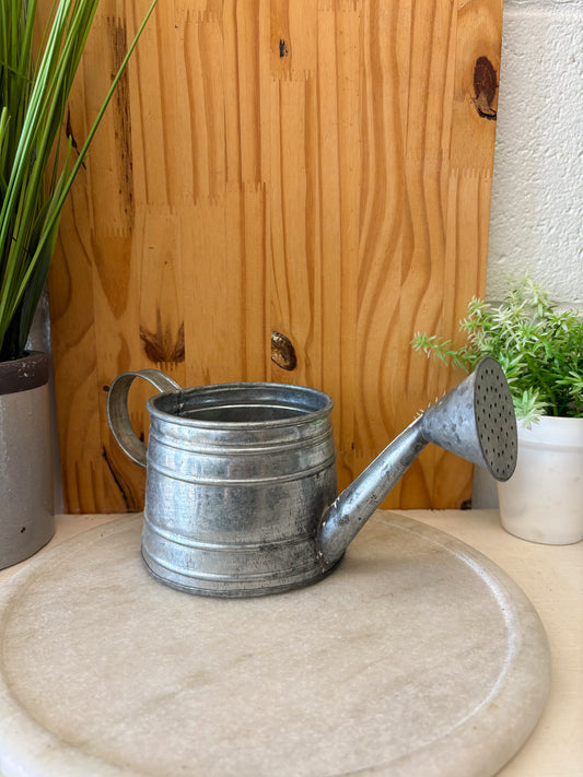 Little Rustic Watering Can
