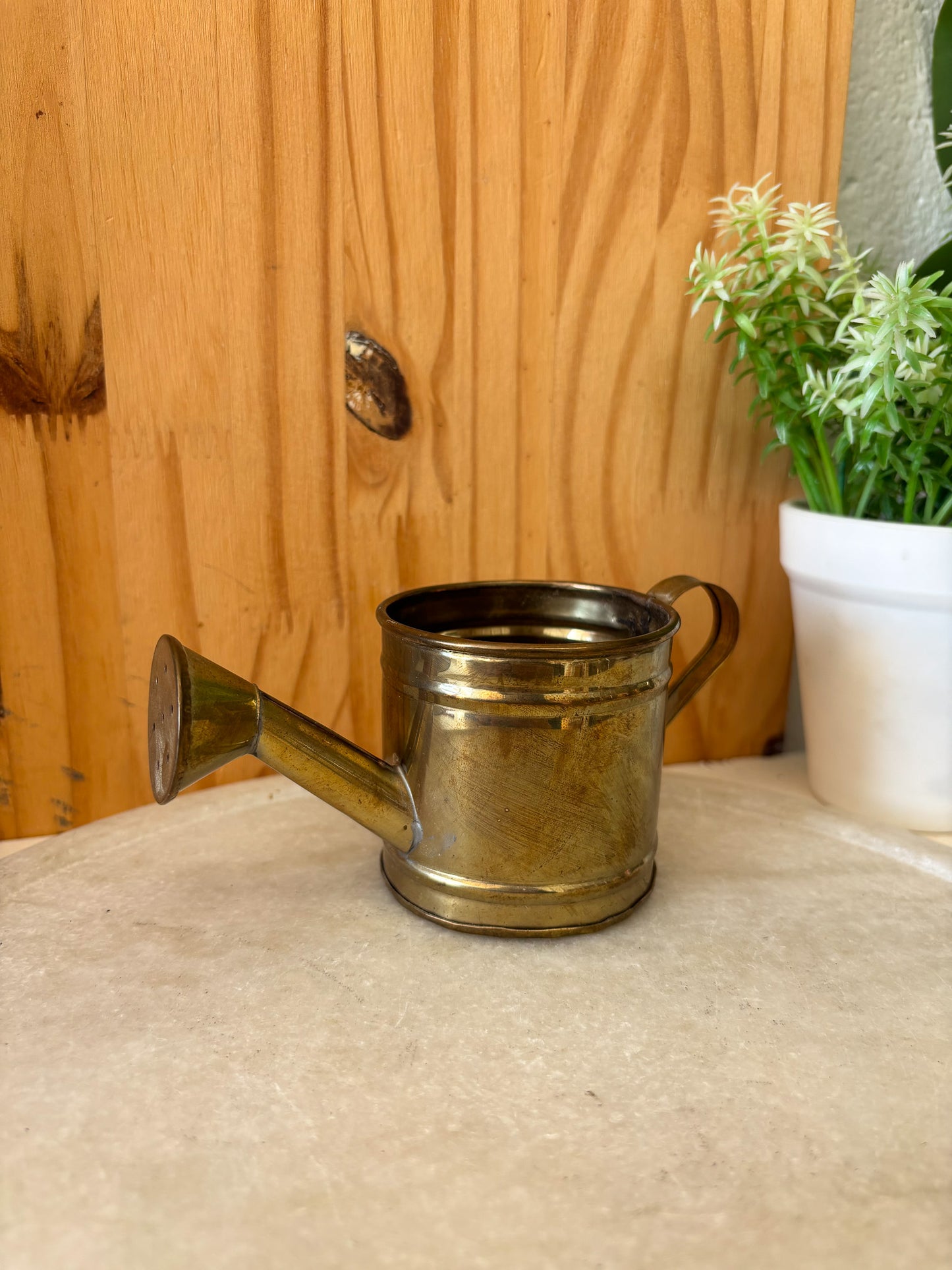 Little Gold Tone Watering Can