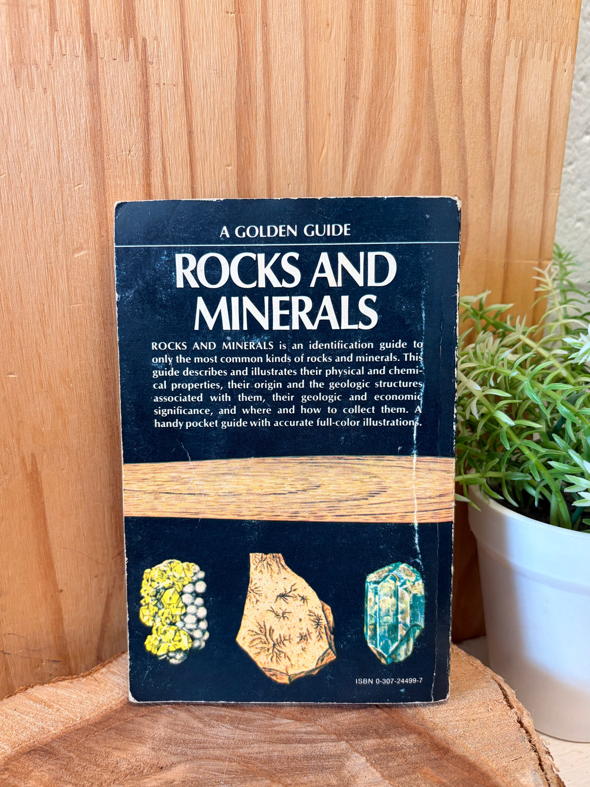 Vtg Rocks & Minerals Golden Guide