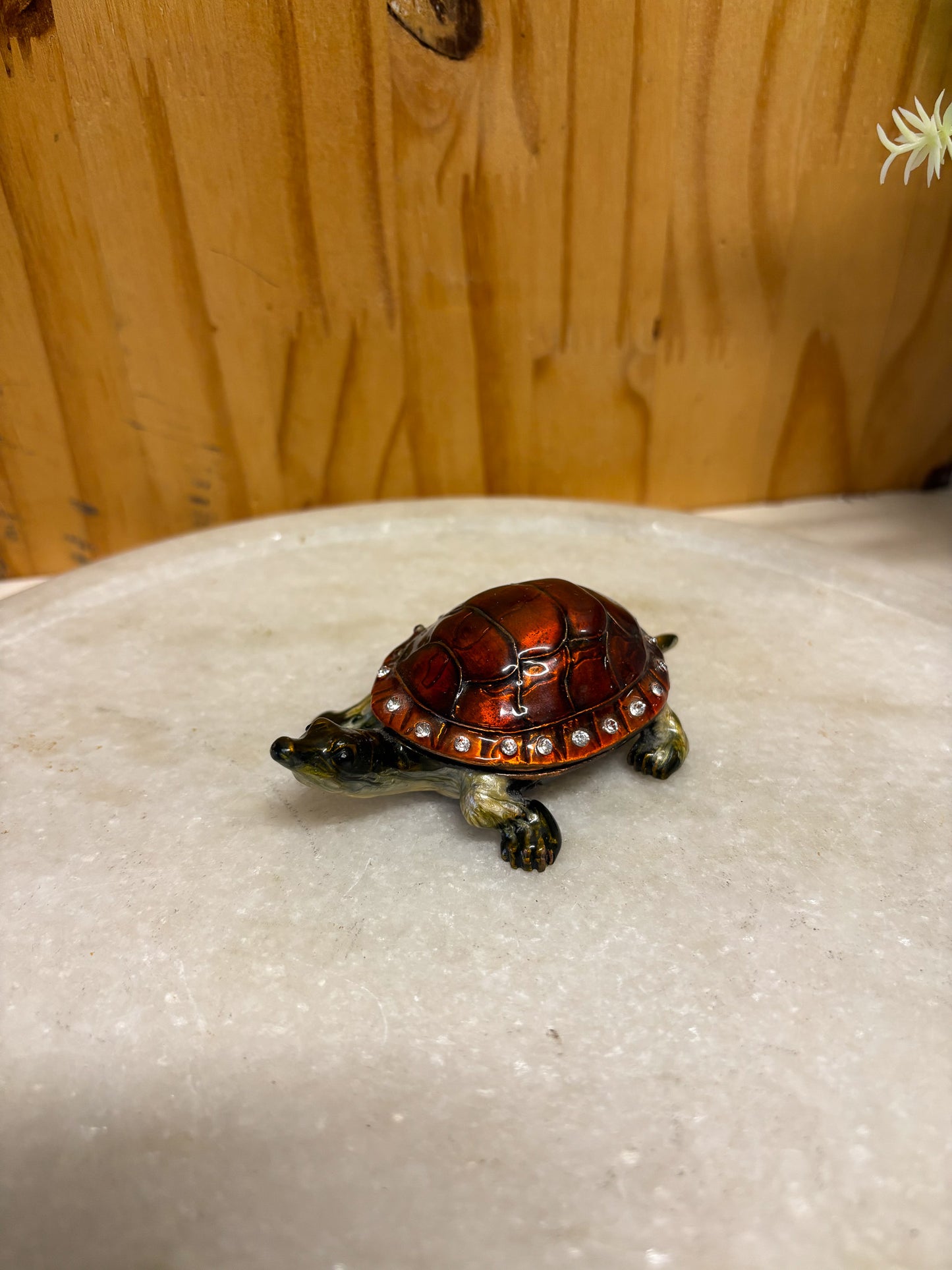 Little Turtle Trinket Box