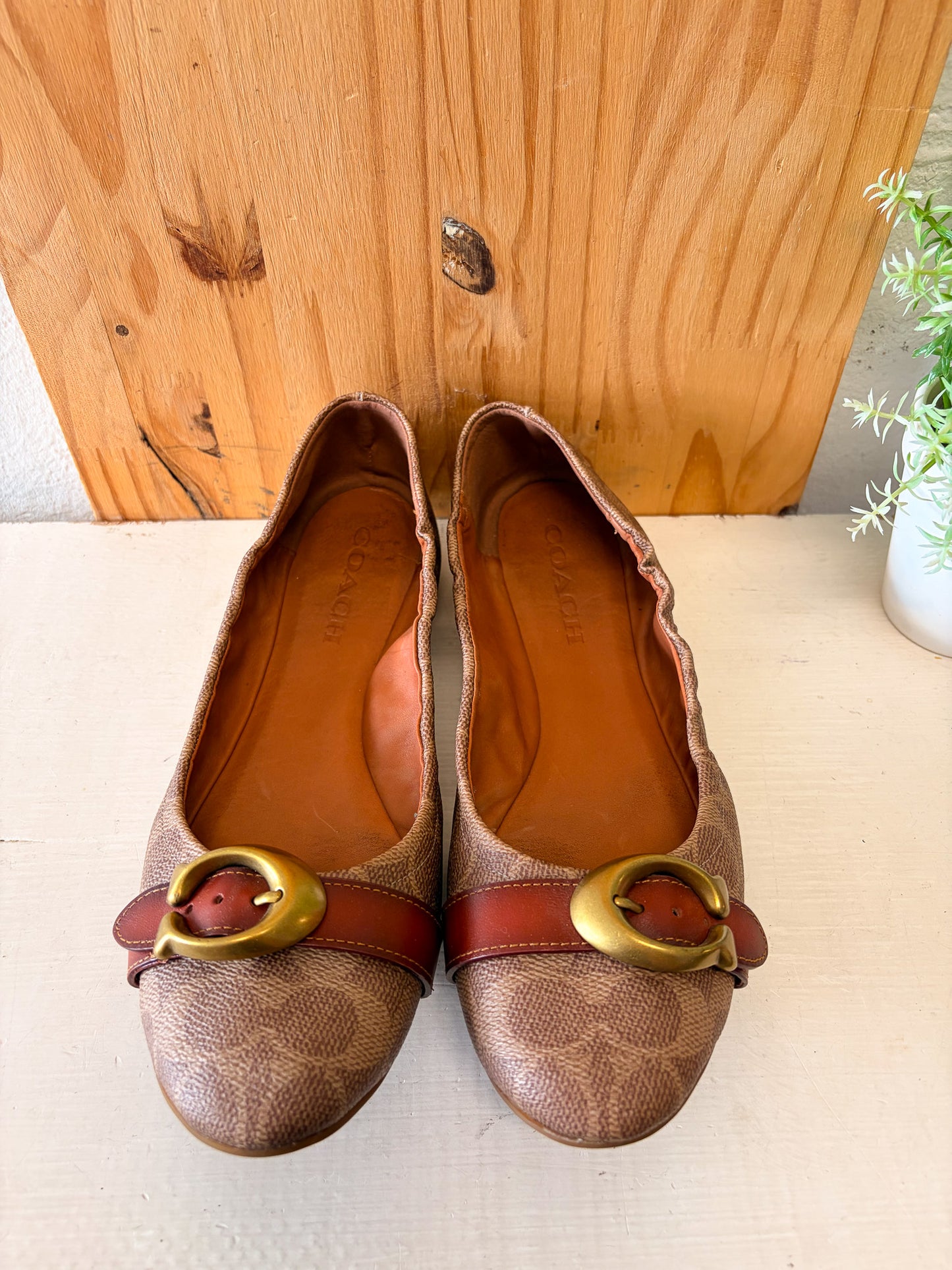 Coach Ballet Flats : Size 9
