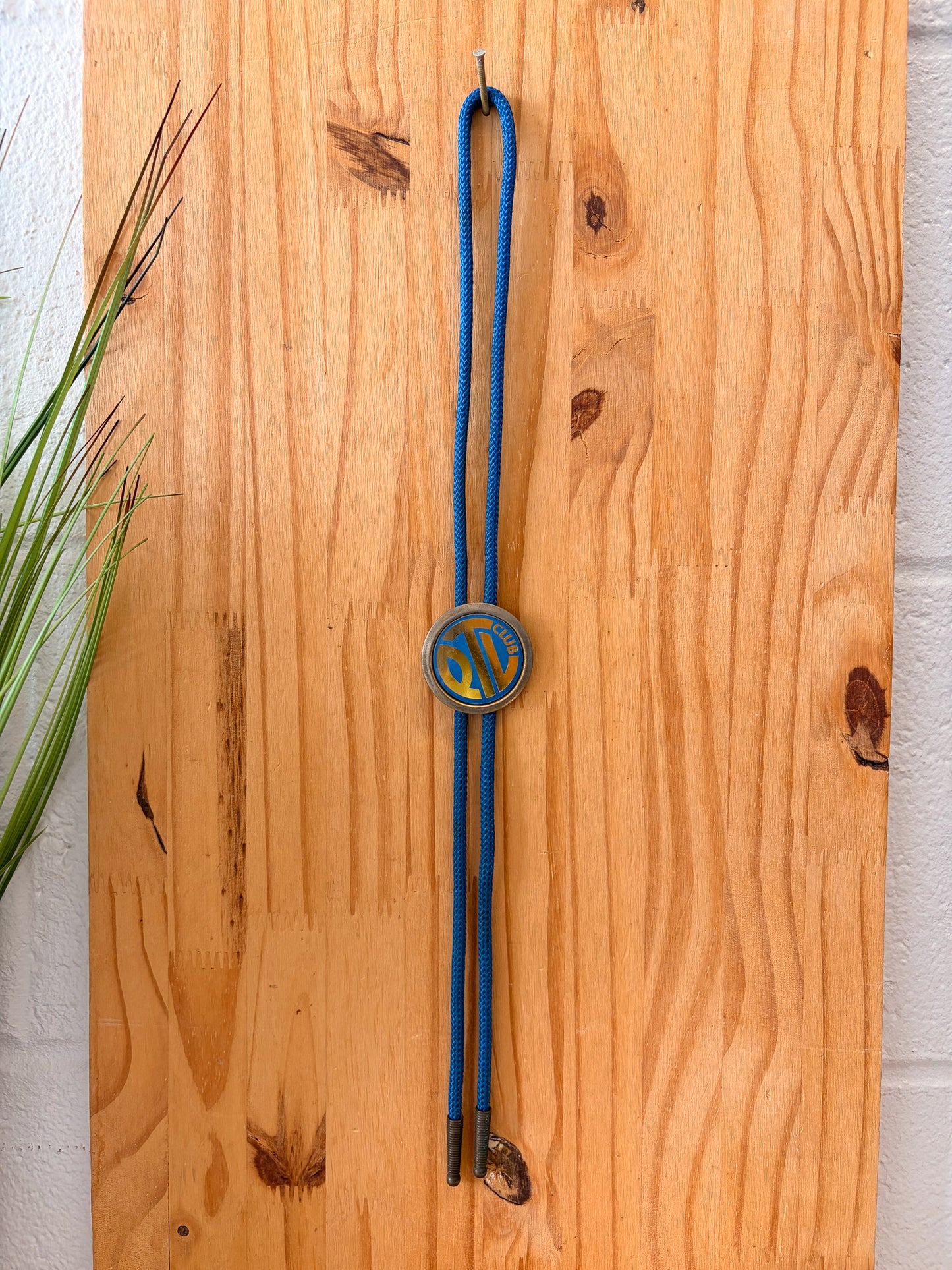 Vtg Blue Boy Scouts Bolo Tie