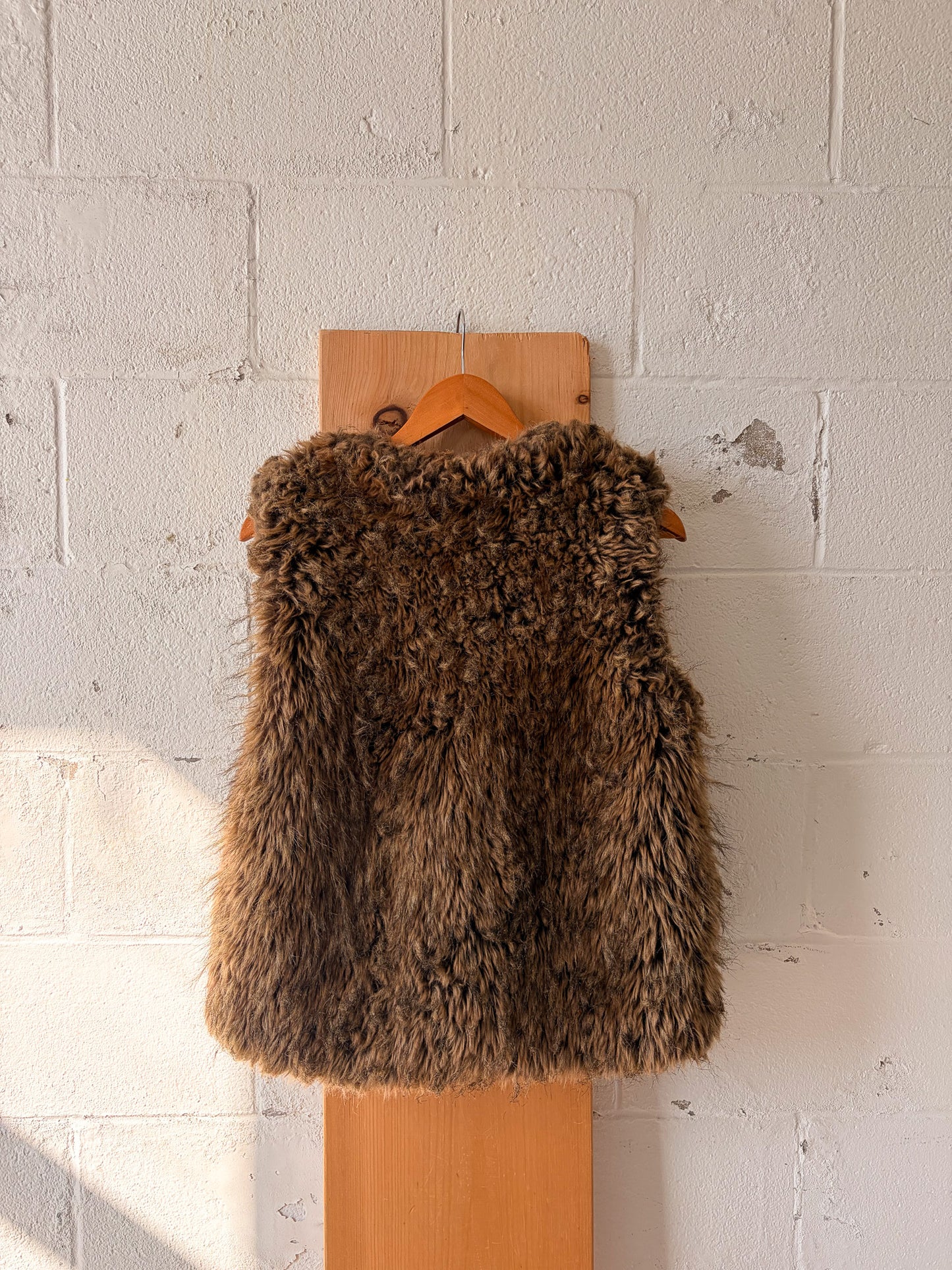 Faux Fur Vest : M